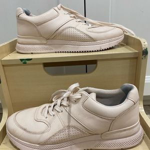Everlane sneakers